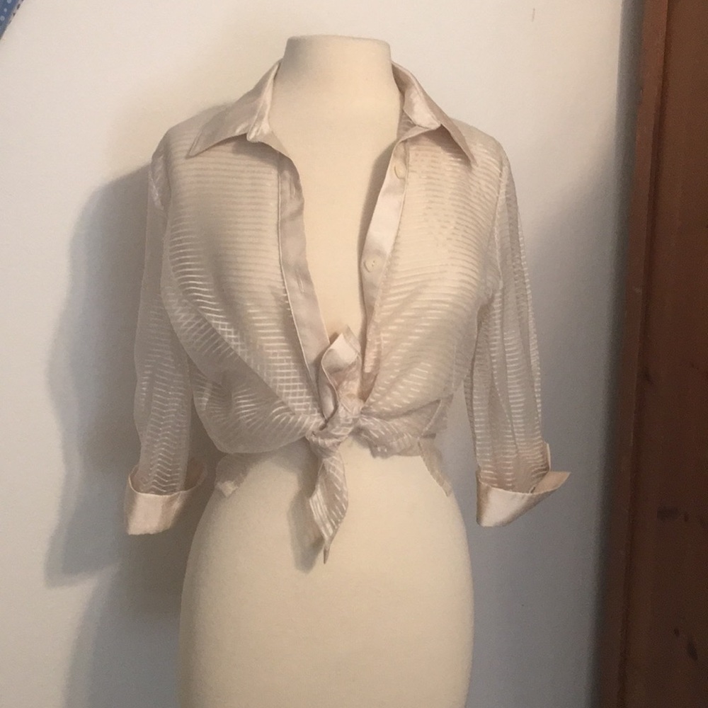 Vintage Sheer Blouse